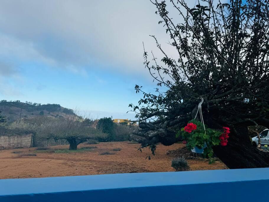La Casita De Rosi Villa La Esperanza  ภายนอก รูปภาพ
